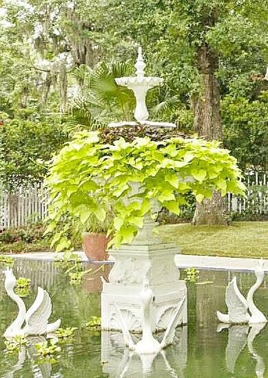 Outdoor gardens at The Hilltop