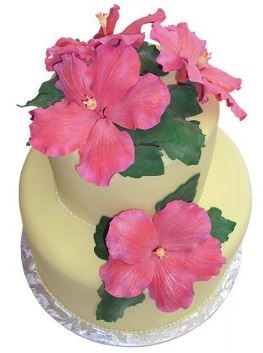 684-the-cake-shop-5