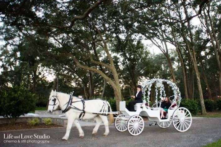 Pinto Carriage Works Premier Bride Jacksonville Cat Listing Pinto Carriage Works Premier Bride Jacksonville