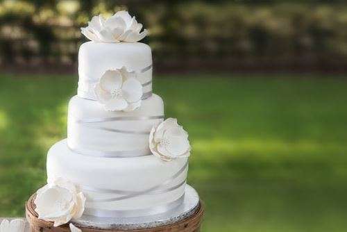 Publix_Premier Bride Jacksonville_Cat Listing Publix Wedding Cakes