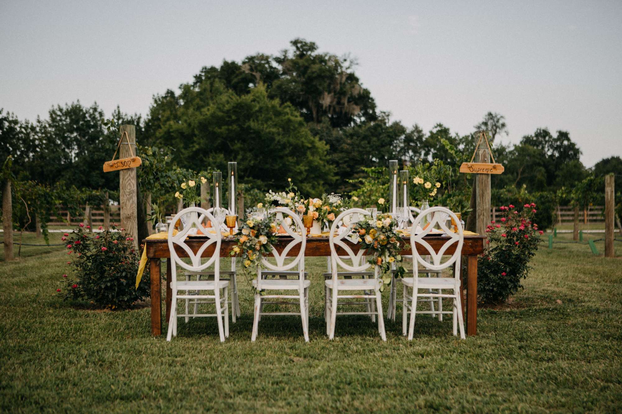 AAE Profile Photo All About Events