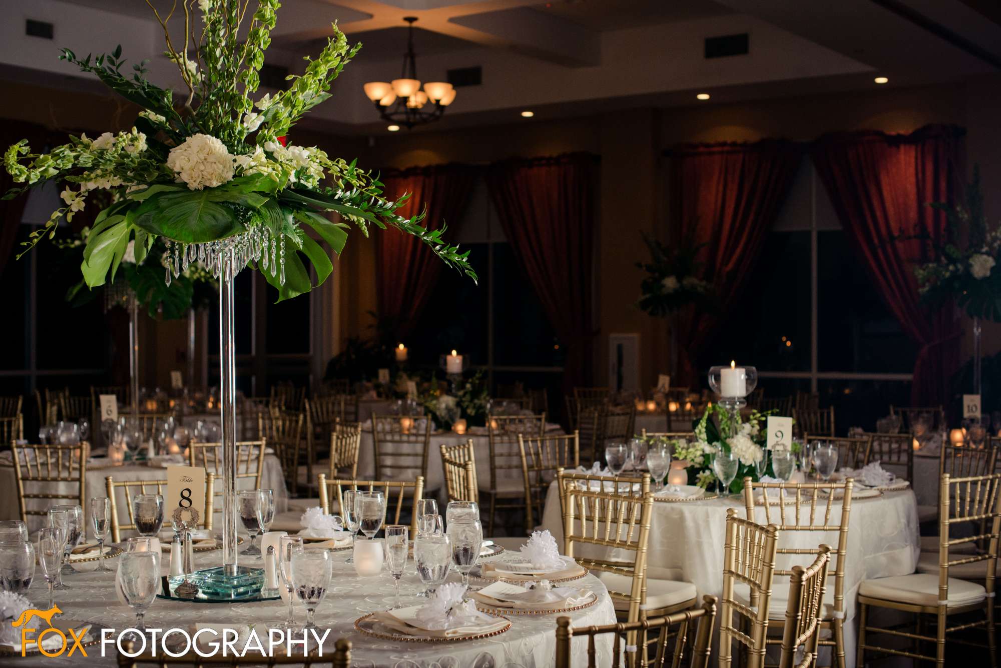 Fox Fotography-007