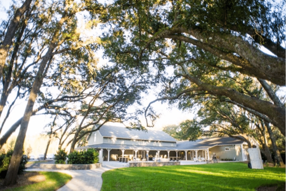 Bowing Oaks