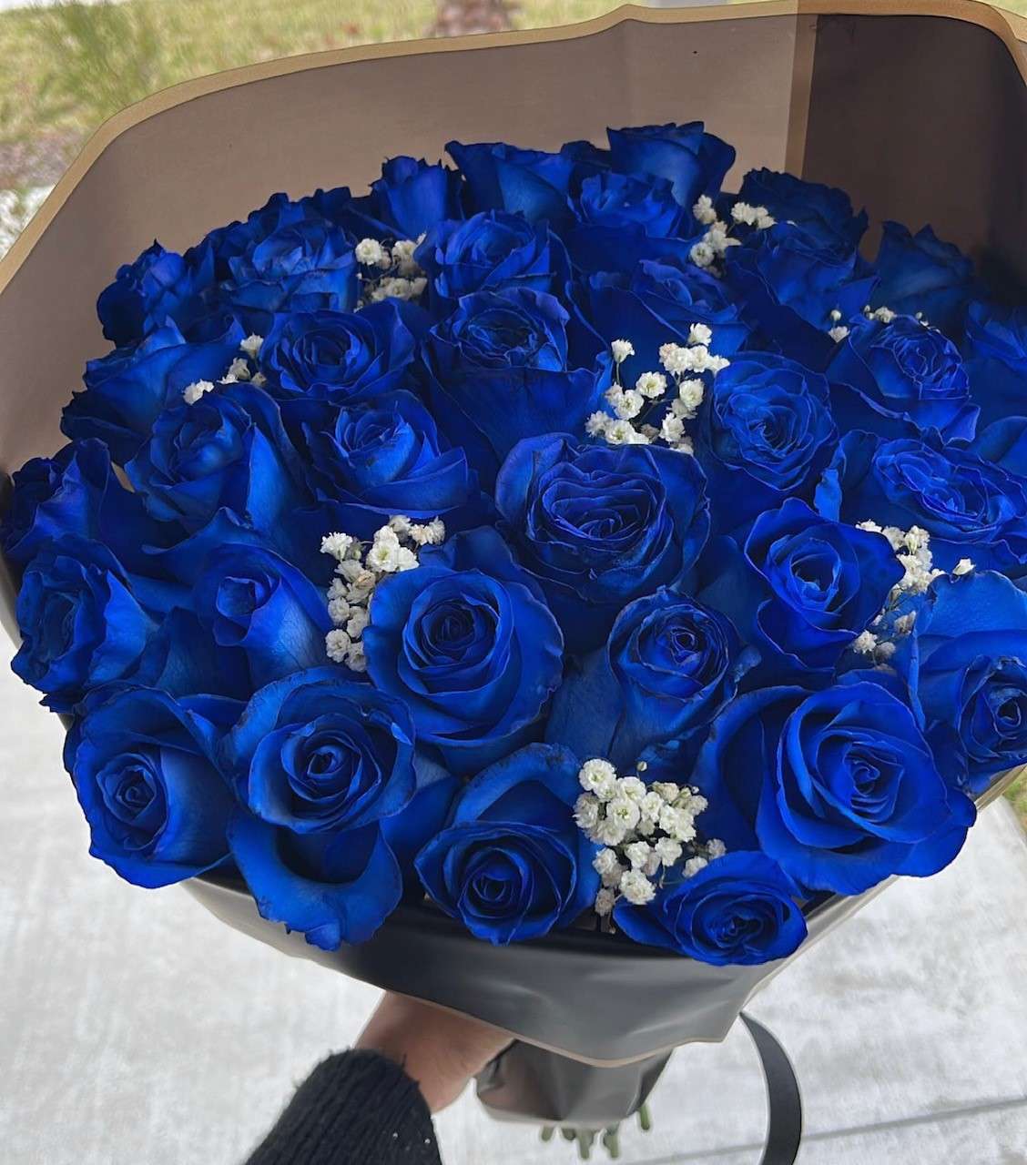 blue roses