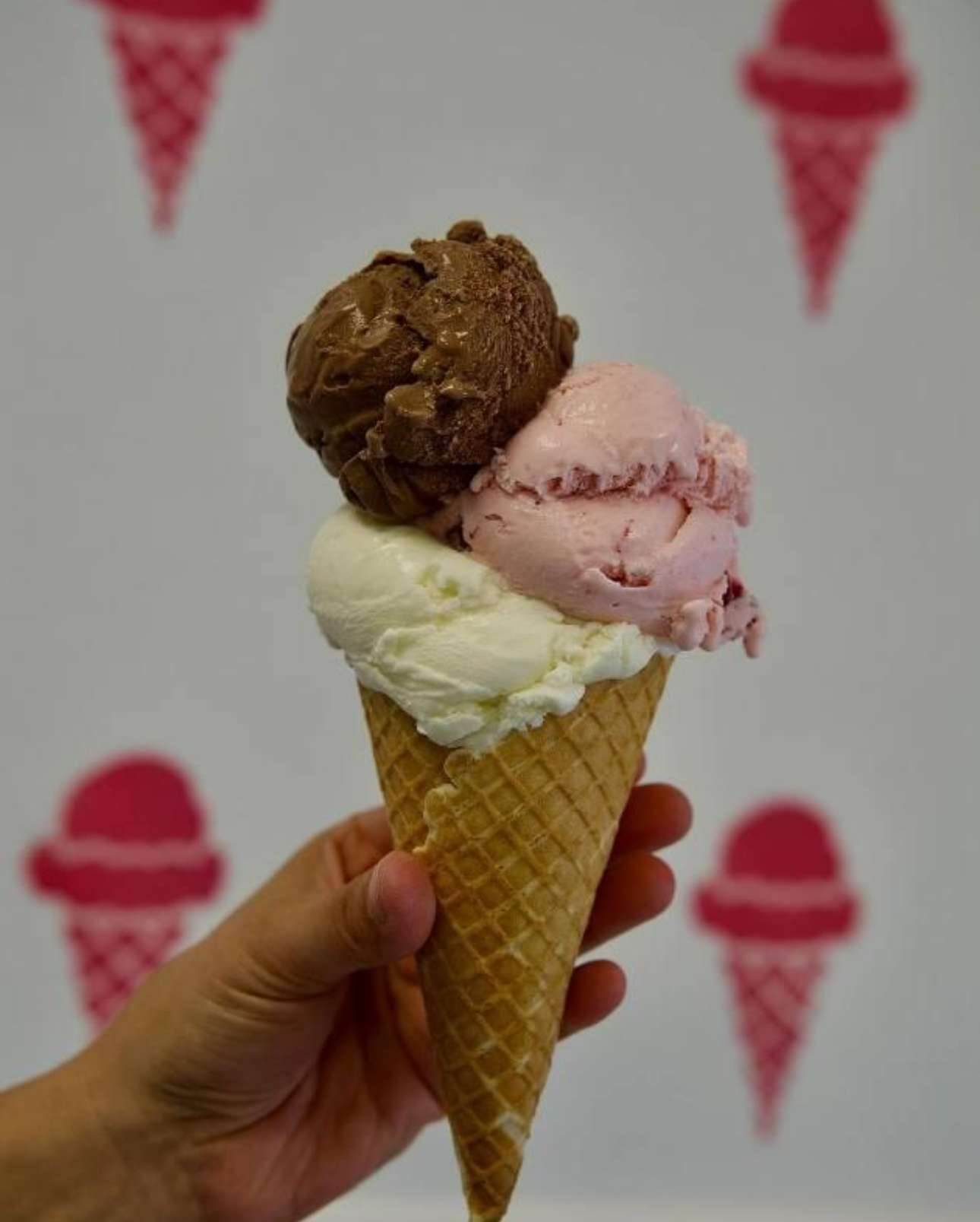 Nitrogen Creamery Top Guest Expereince Premier Bride 904 Nitrogen Creamery - Guest Experience