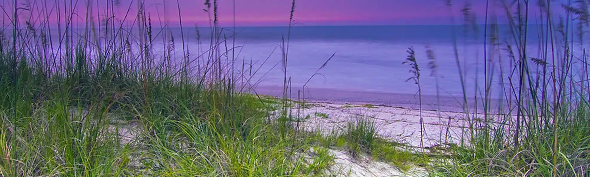 Amelia Island Overview