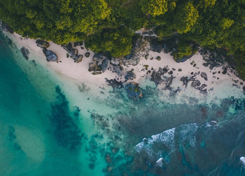 Honeymoon in Bali
