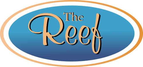 Vendor Spotlight | The Reef