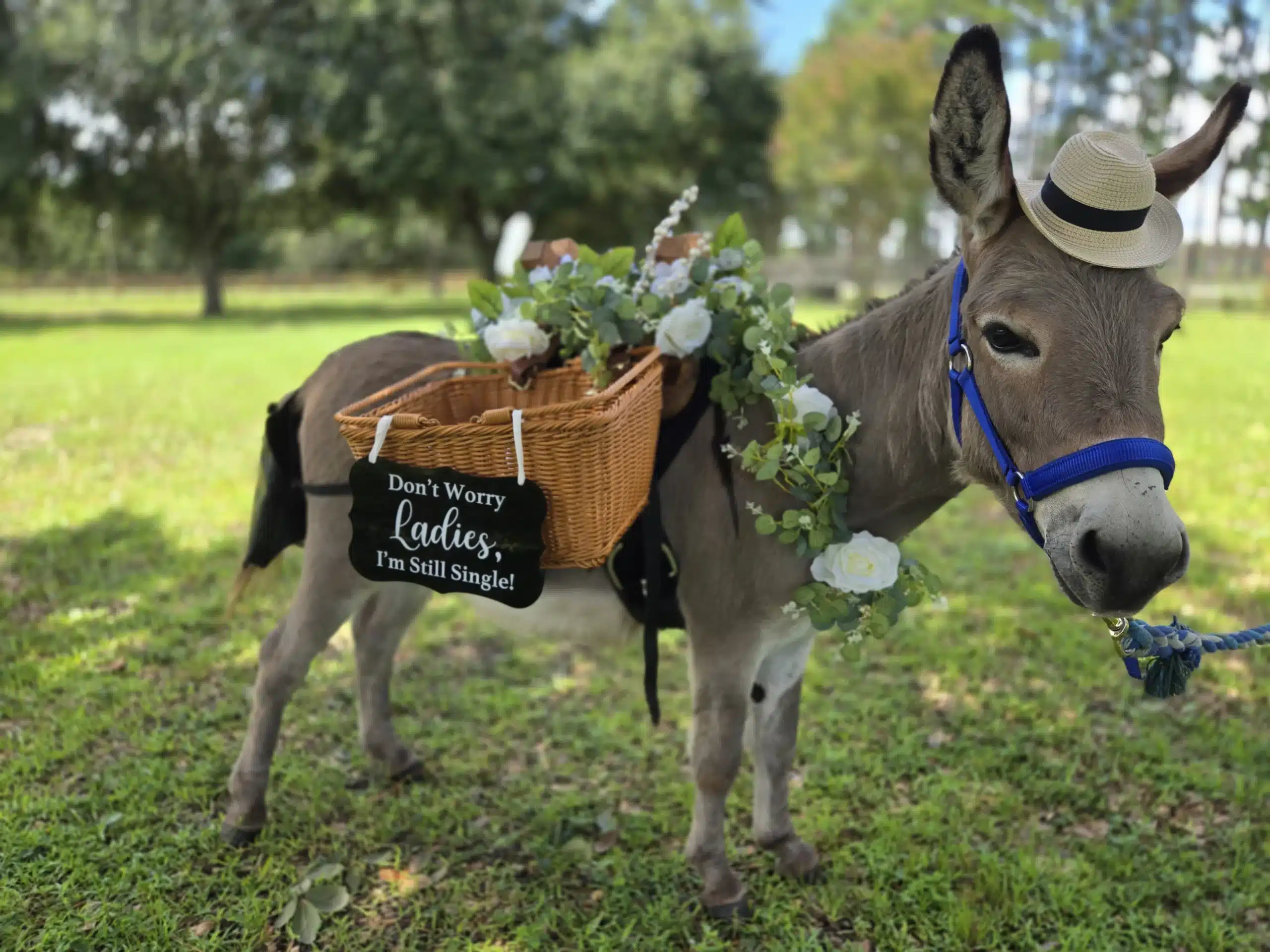 Burro Buddies custom signs for weddings