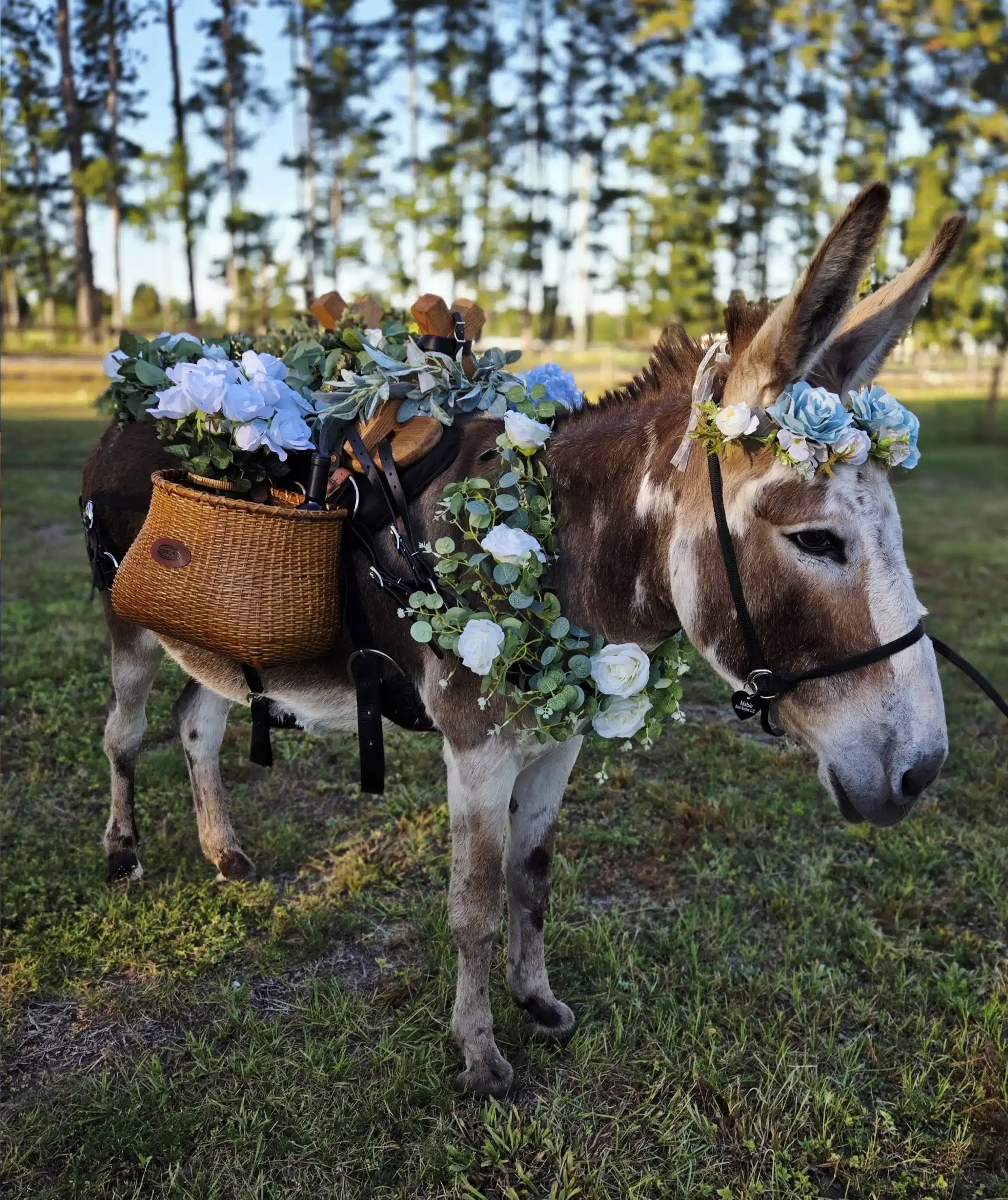 Why Beverage Burros Are the Wedding Trend Couples Can’t Stop Talking About