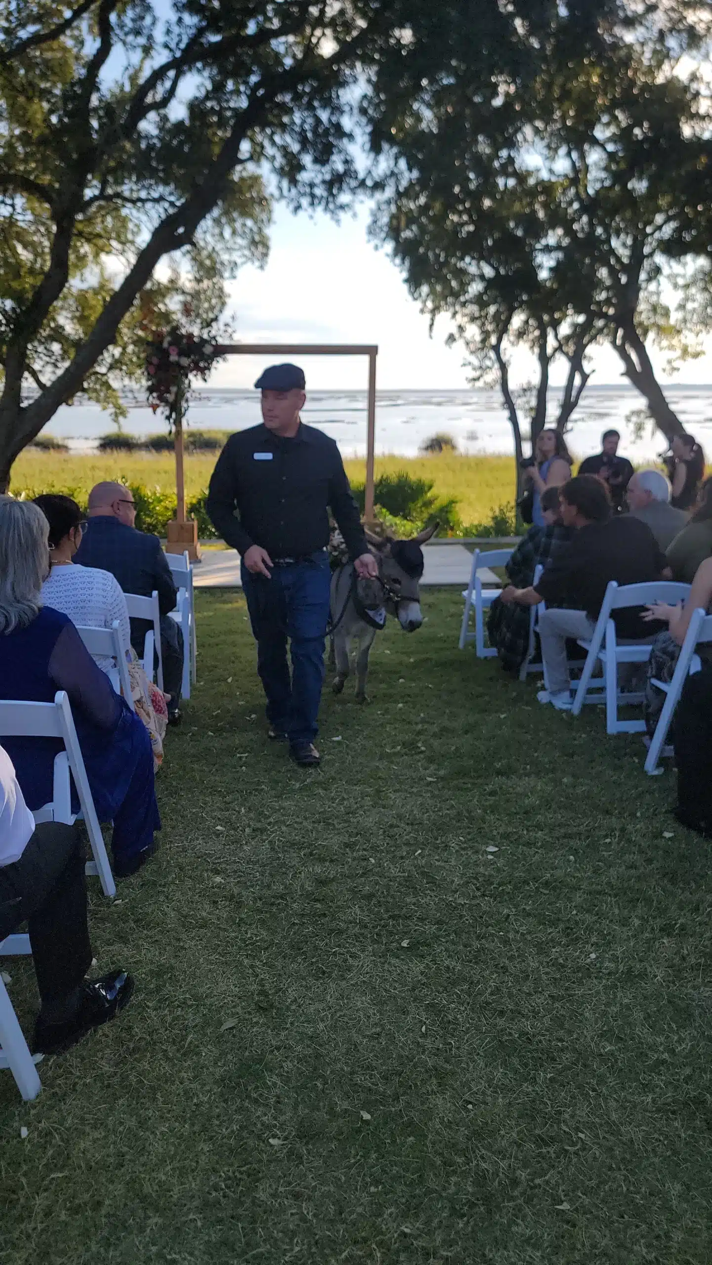 Donkey walking down the aisle at a wedding