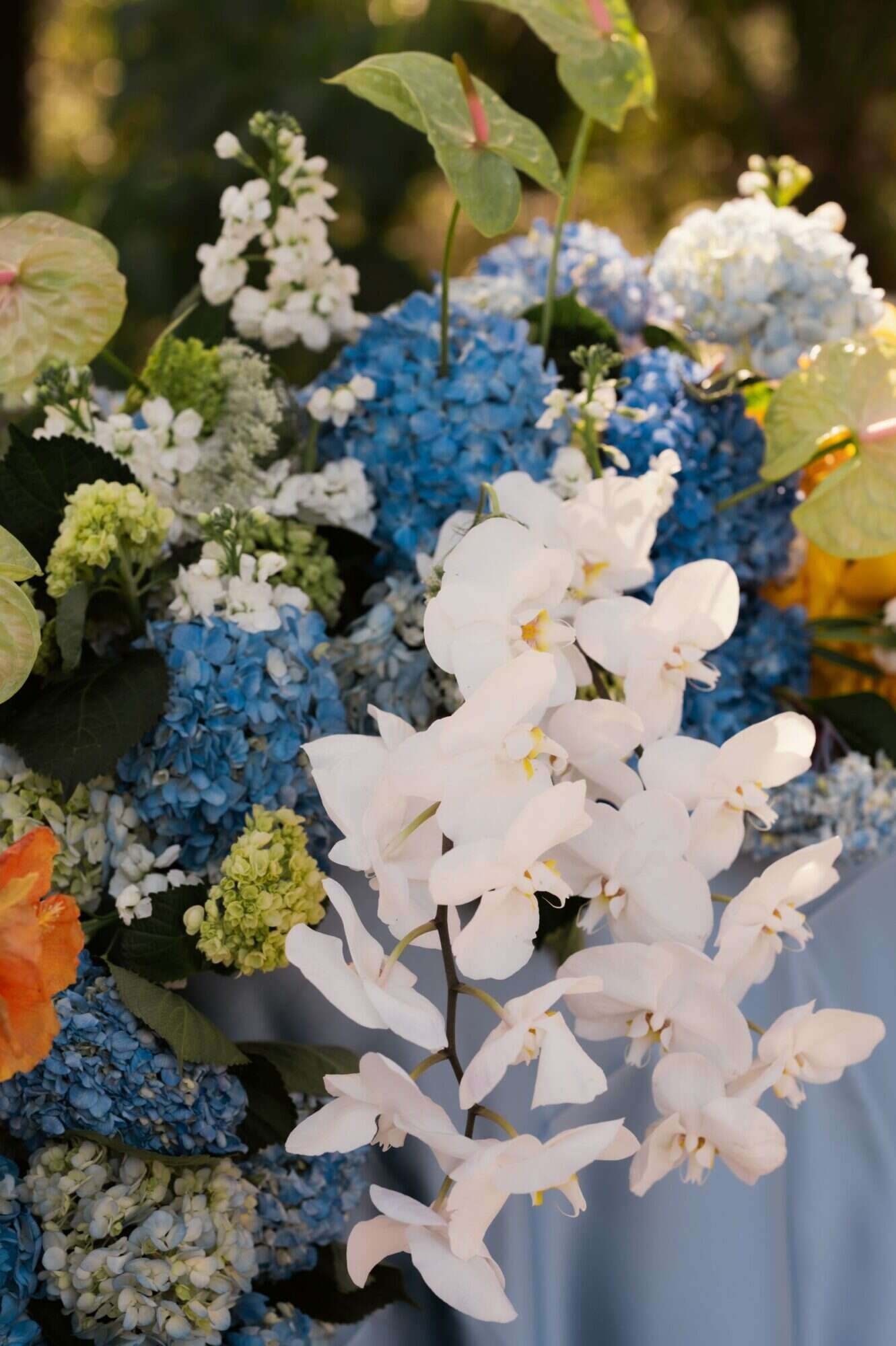 chabeli-woolsey-photography-wedding-fern-oak-estate-pomona-park-florida-544-708