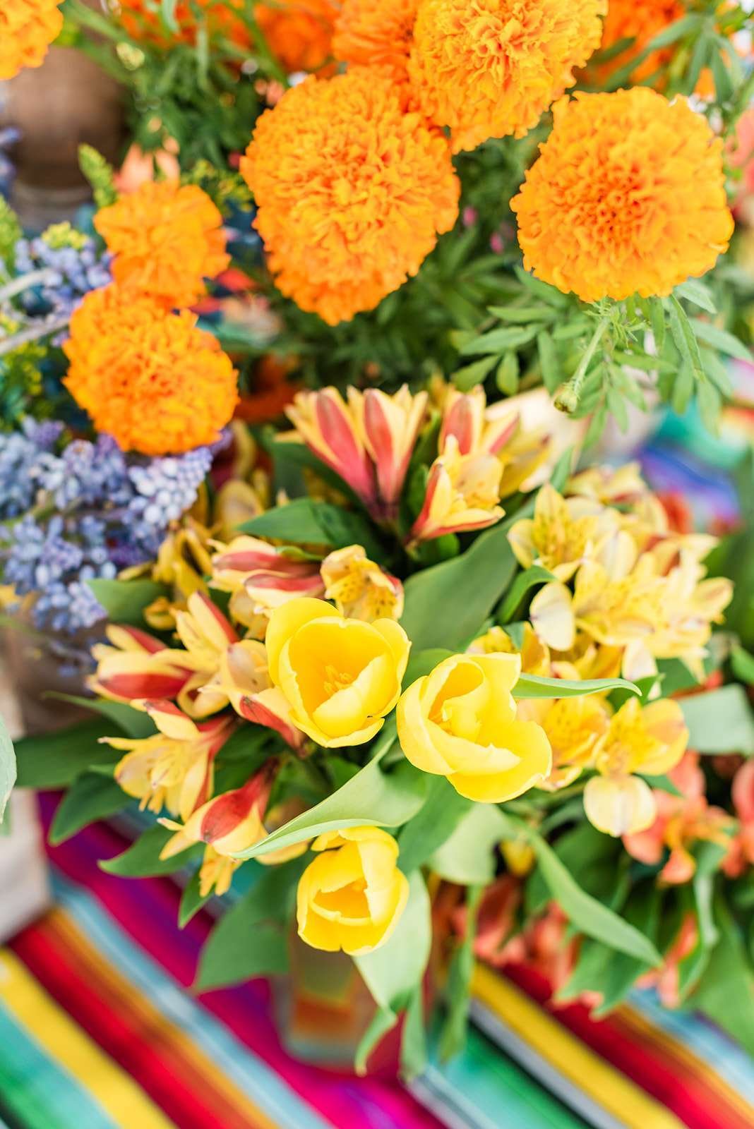 ©christineaustinphotography_2020_pbws21_fiesta_edmsw_41