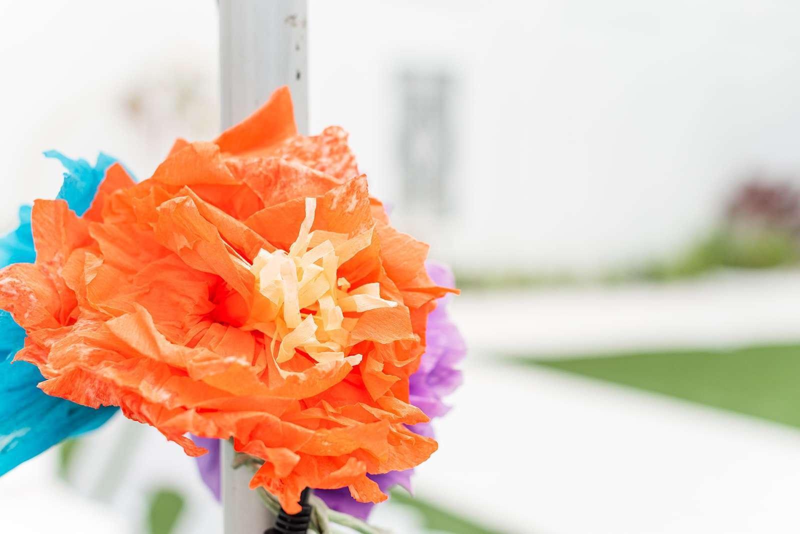©christineaustinphotography_2020_pbws21_fiesta_flweddingsupply_12